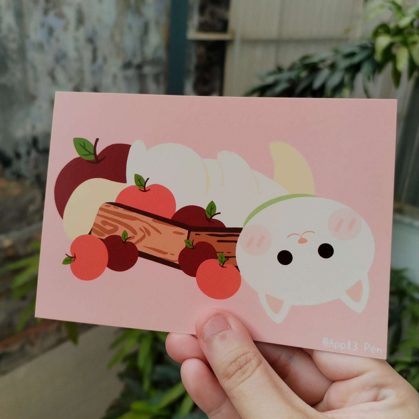 Postcard - Apple Meow