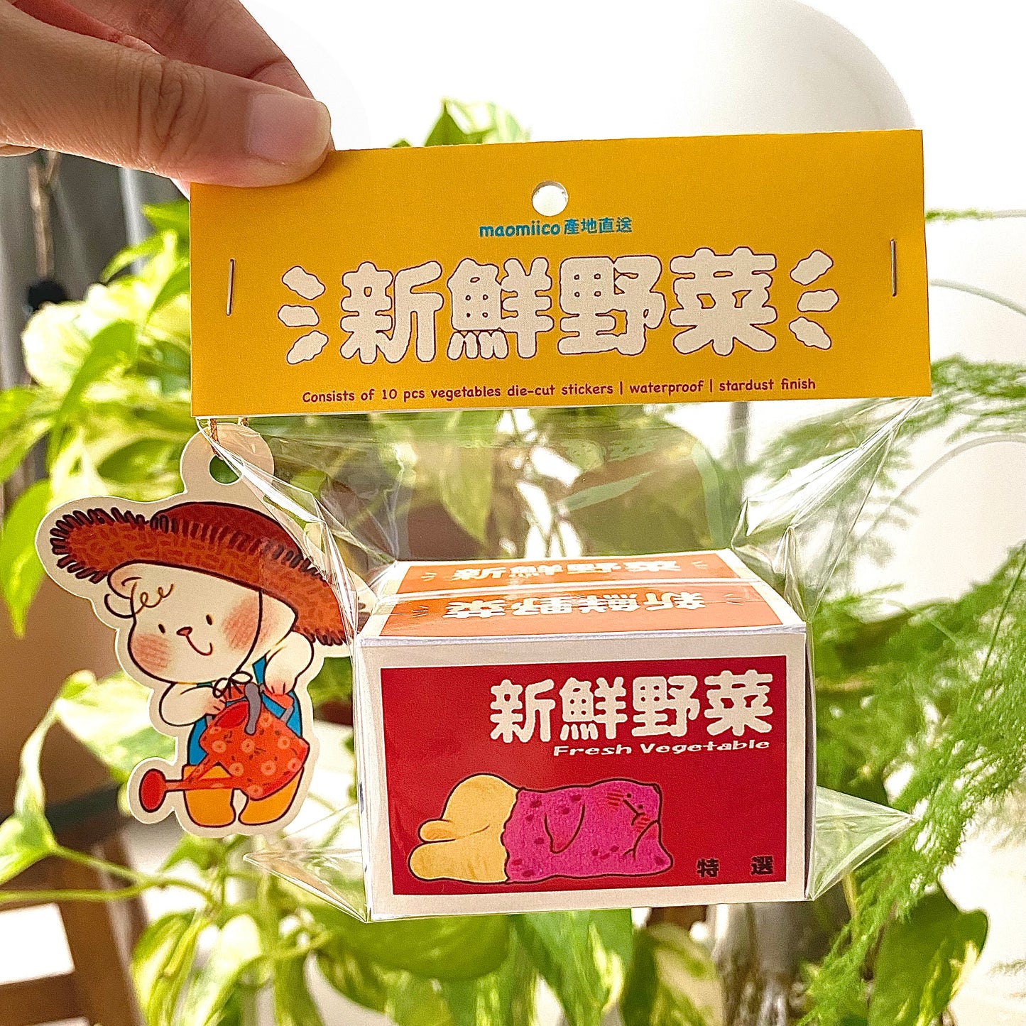 Maomiico Vegetable Box Sticker Set