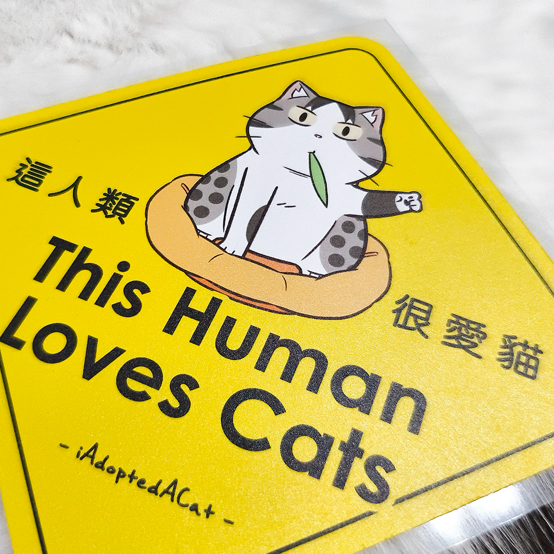 果醬日常 iAdoptedACat : Outdoor Car Sticker - This human loves cats