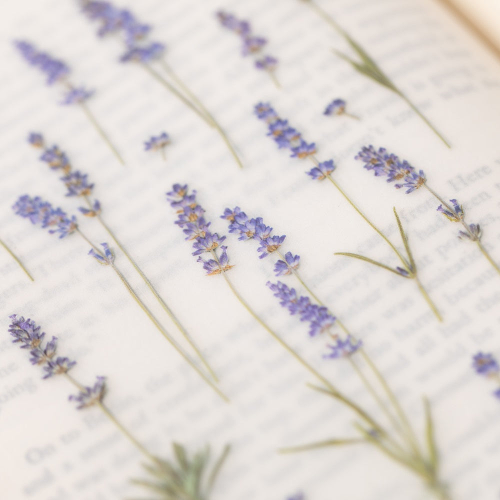 Appree Pressed Flower Sticker | Lavender