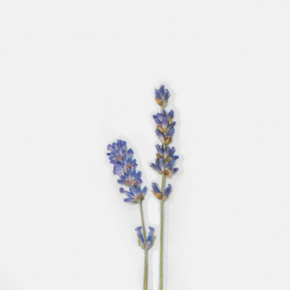Appree Pressed Flower Sticker | Lavender