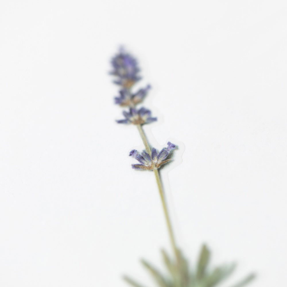 Appree Pressed Flower Sticker | Lavender