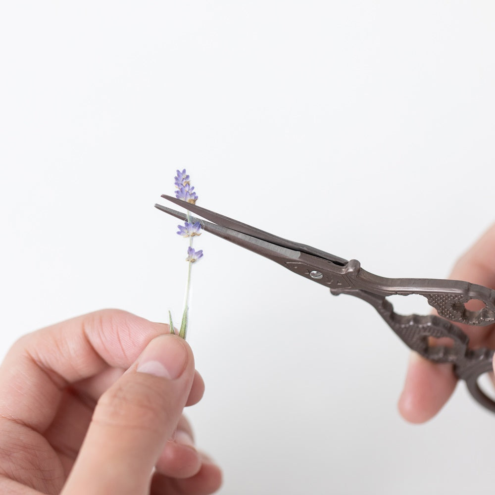 Appree Pressed Flower Sticker | Lavender