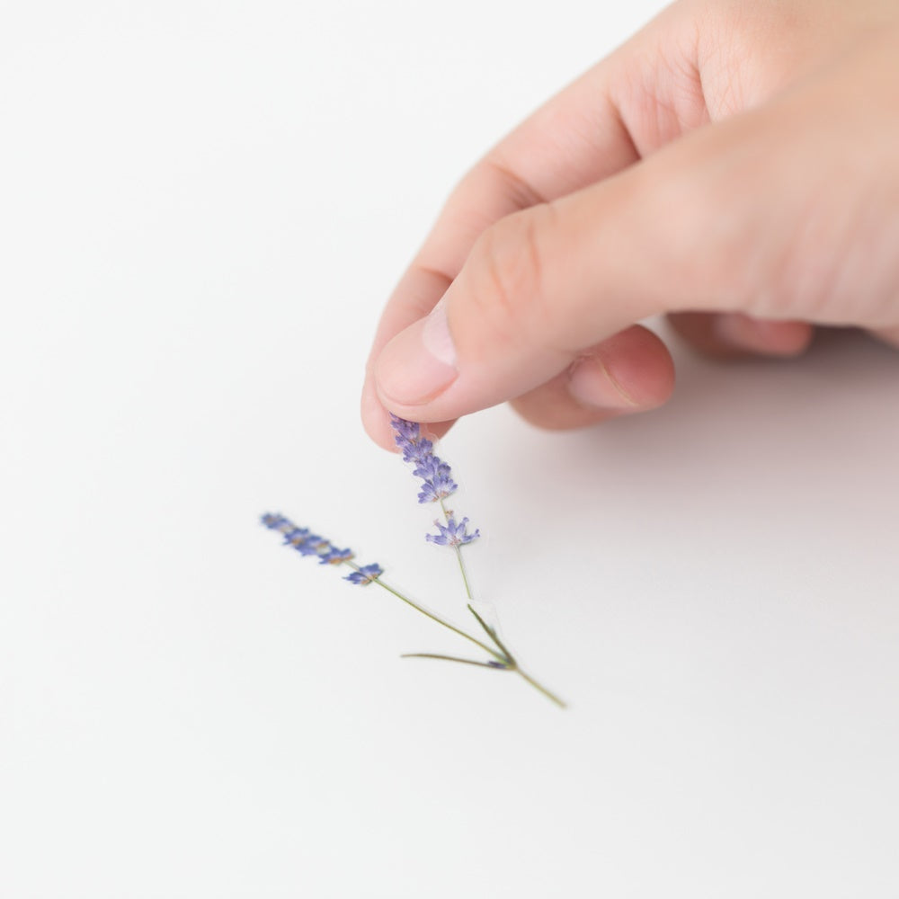 Appree Pressed Flower Sticker | Lavender