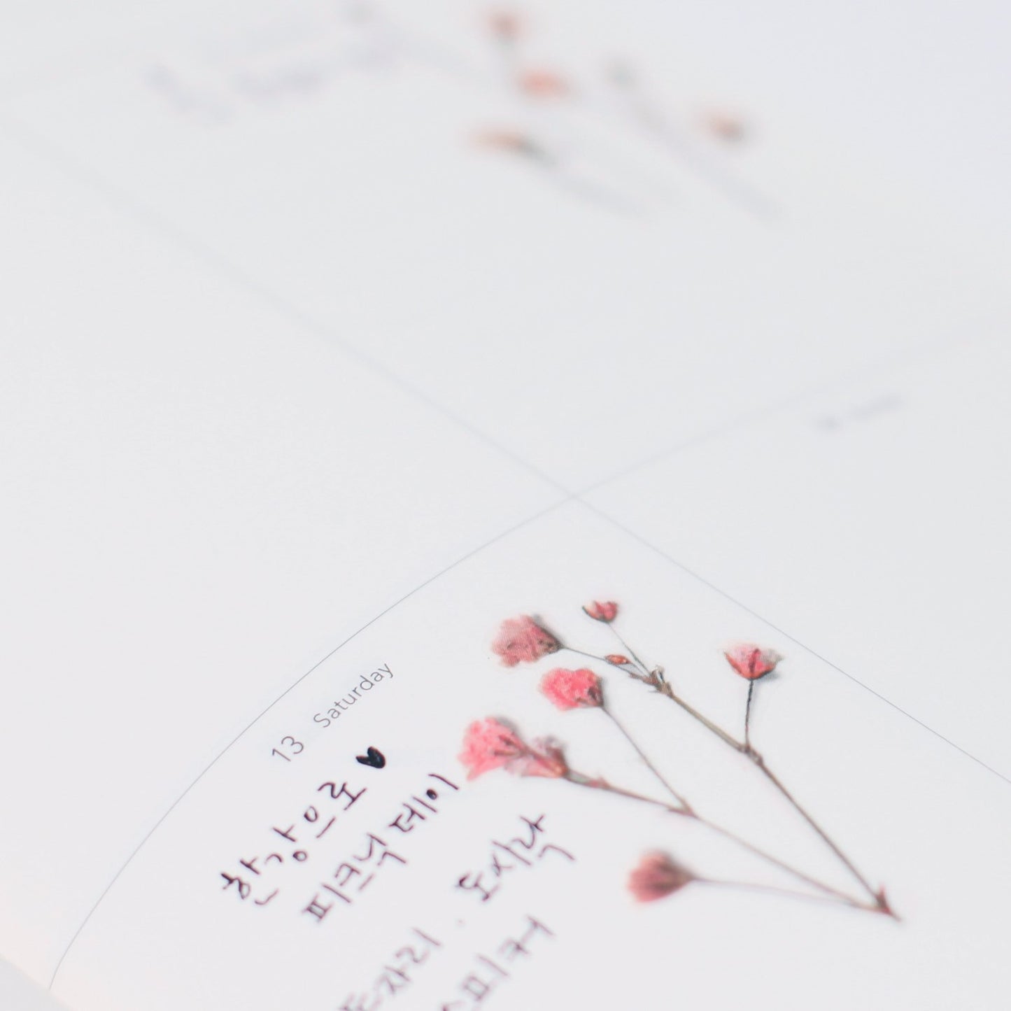 Appree Pressed Flower Sticker | Gypsophila