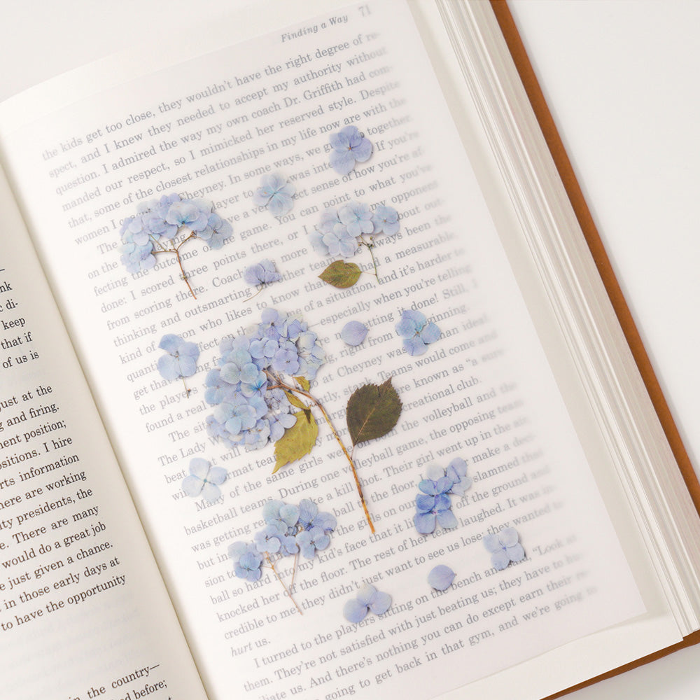 Appree Pressed Flower Sticker | Bigleaf Hydrangea