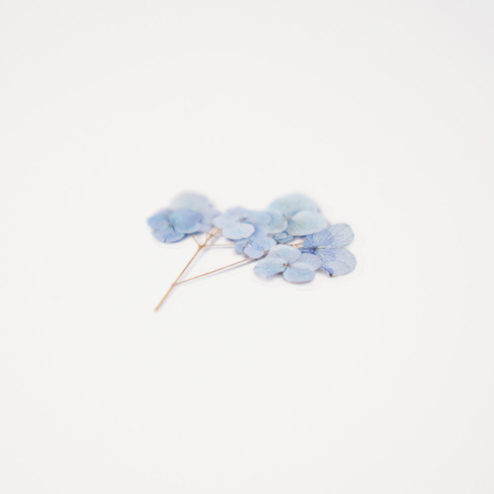 Appree Pressed Flower Sticker | Bigleaf Hydrangea