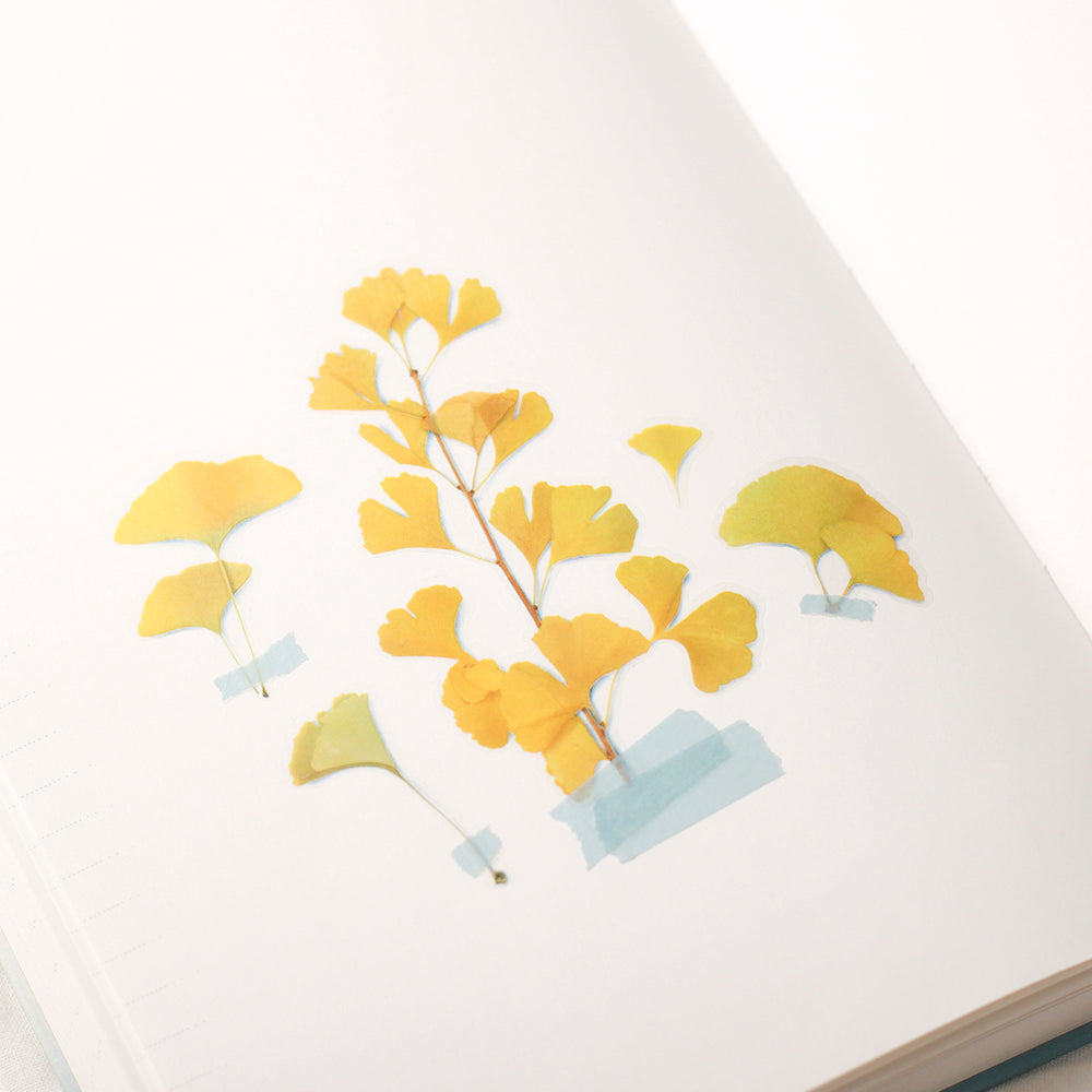 Appree Pressed Flower Sticker | Ginkgo