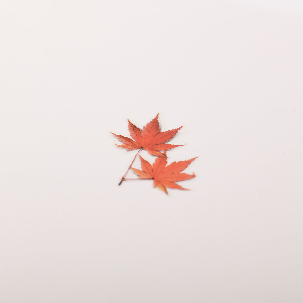 Appree Pressed Flower Sticker | Palmate Maple