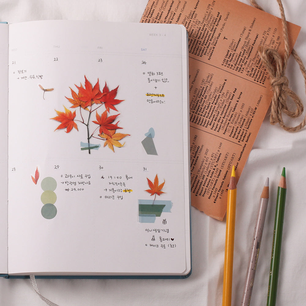 Appree Pressed Flower Sticker | Palmate Maple