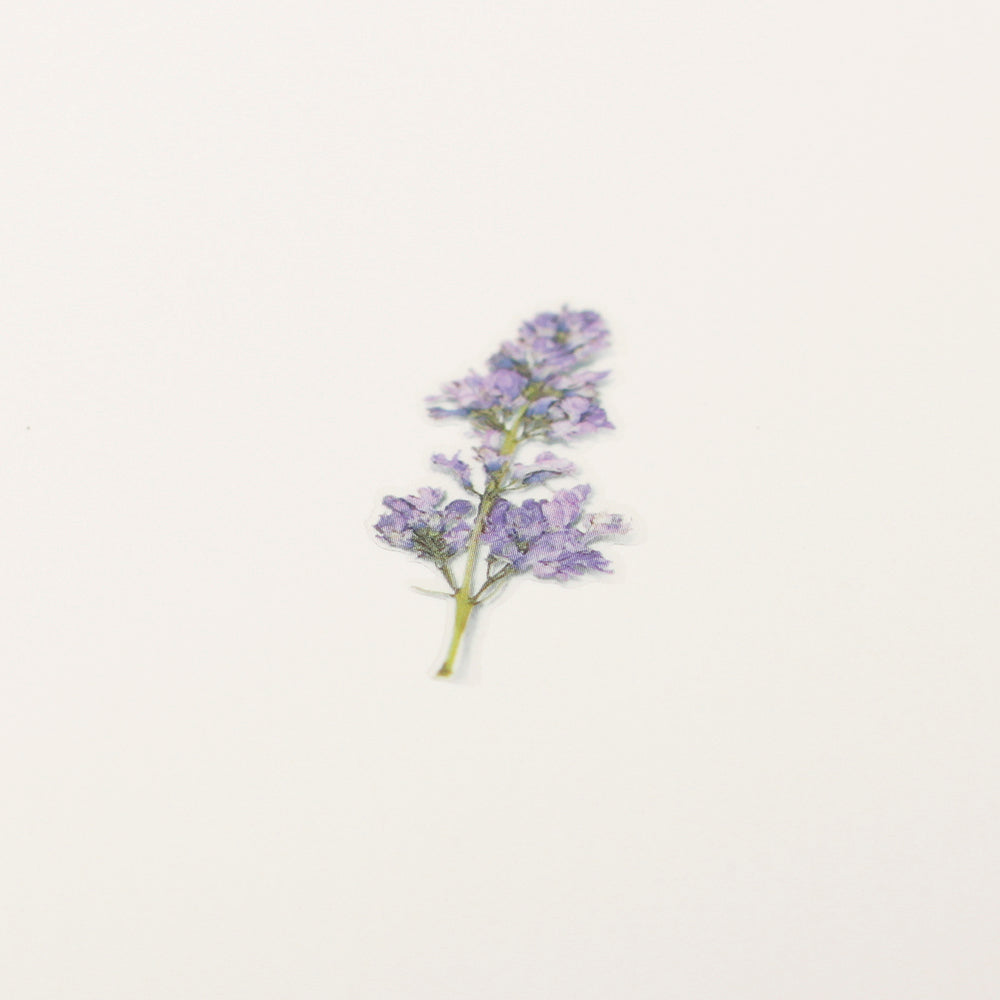 Appree Pressed Flower Sticker | Lilac