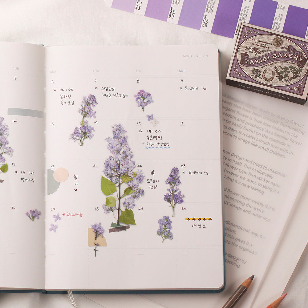 Appree Pressed Flower Sticker | Lilac