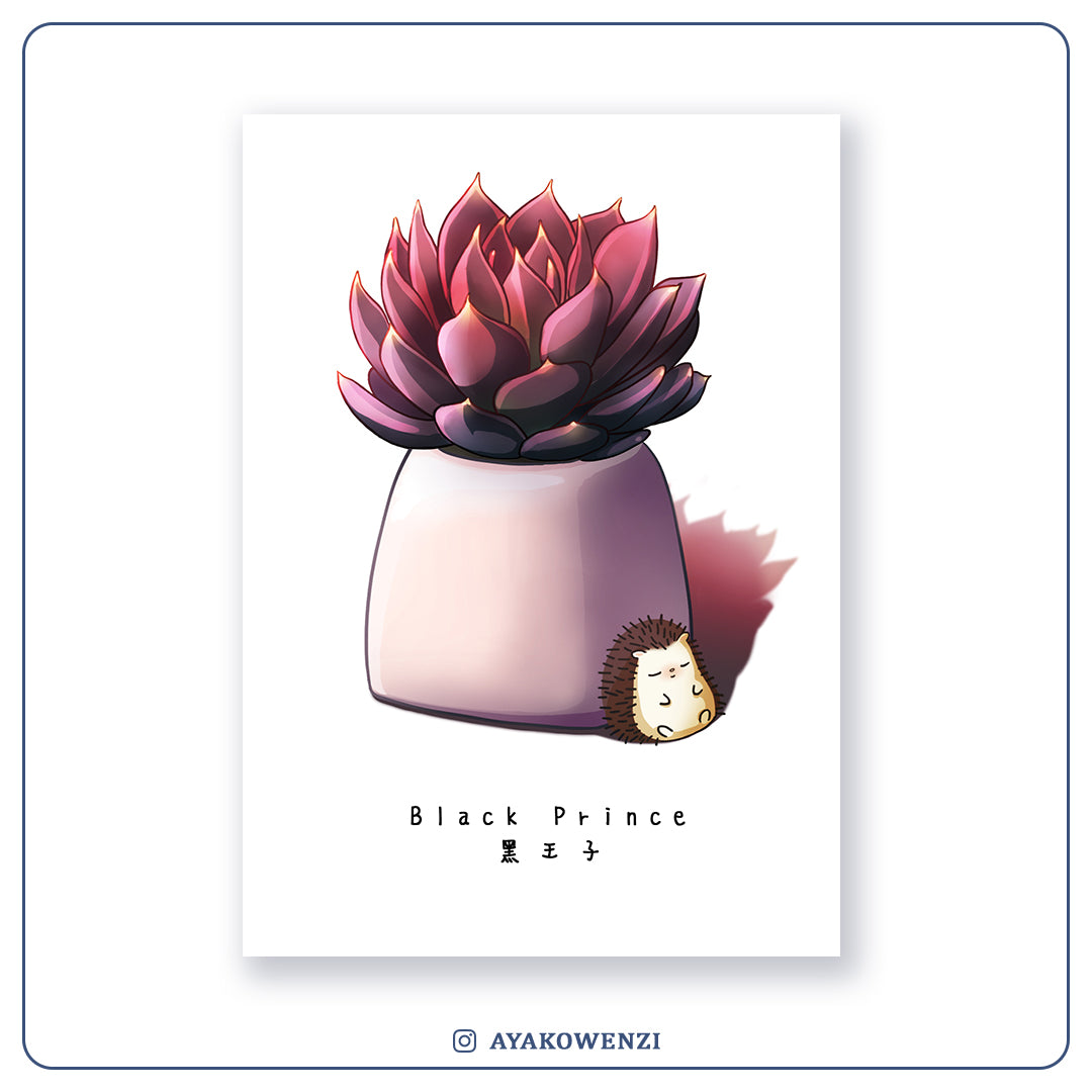Postcard | Black Prince