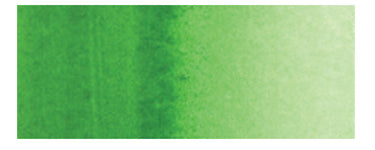 Holbein Water Color 5ml | Green