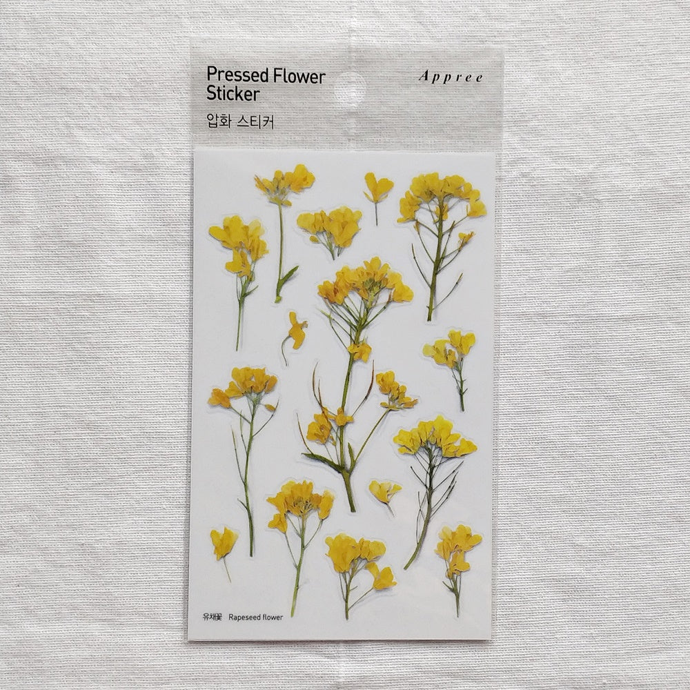 Appree Pressed Flower Sticker | Rapeseed Flower