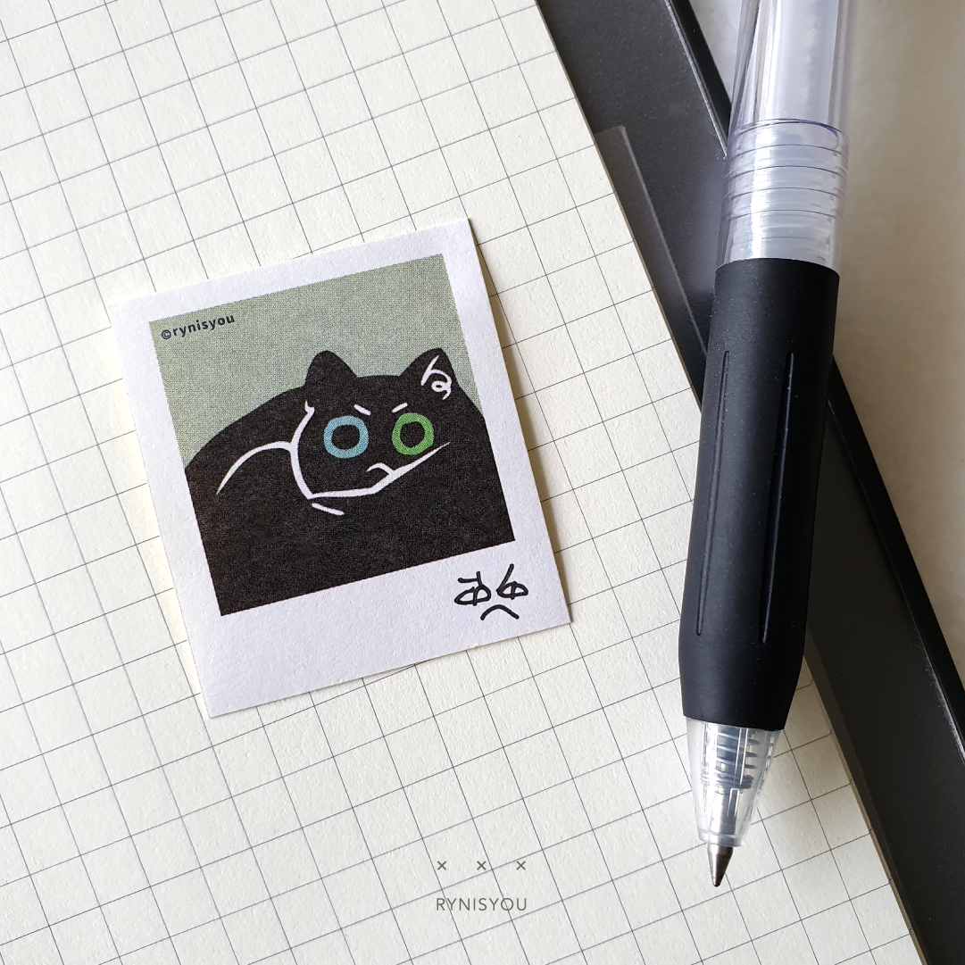 RBF cat mini Polaroid Sticker Set