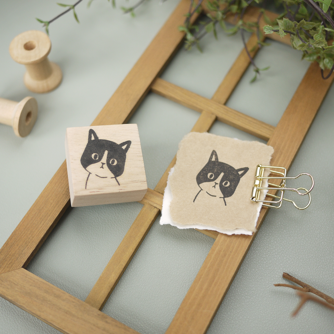 Curious Cat Rubber Stamp