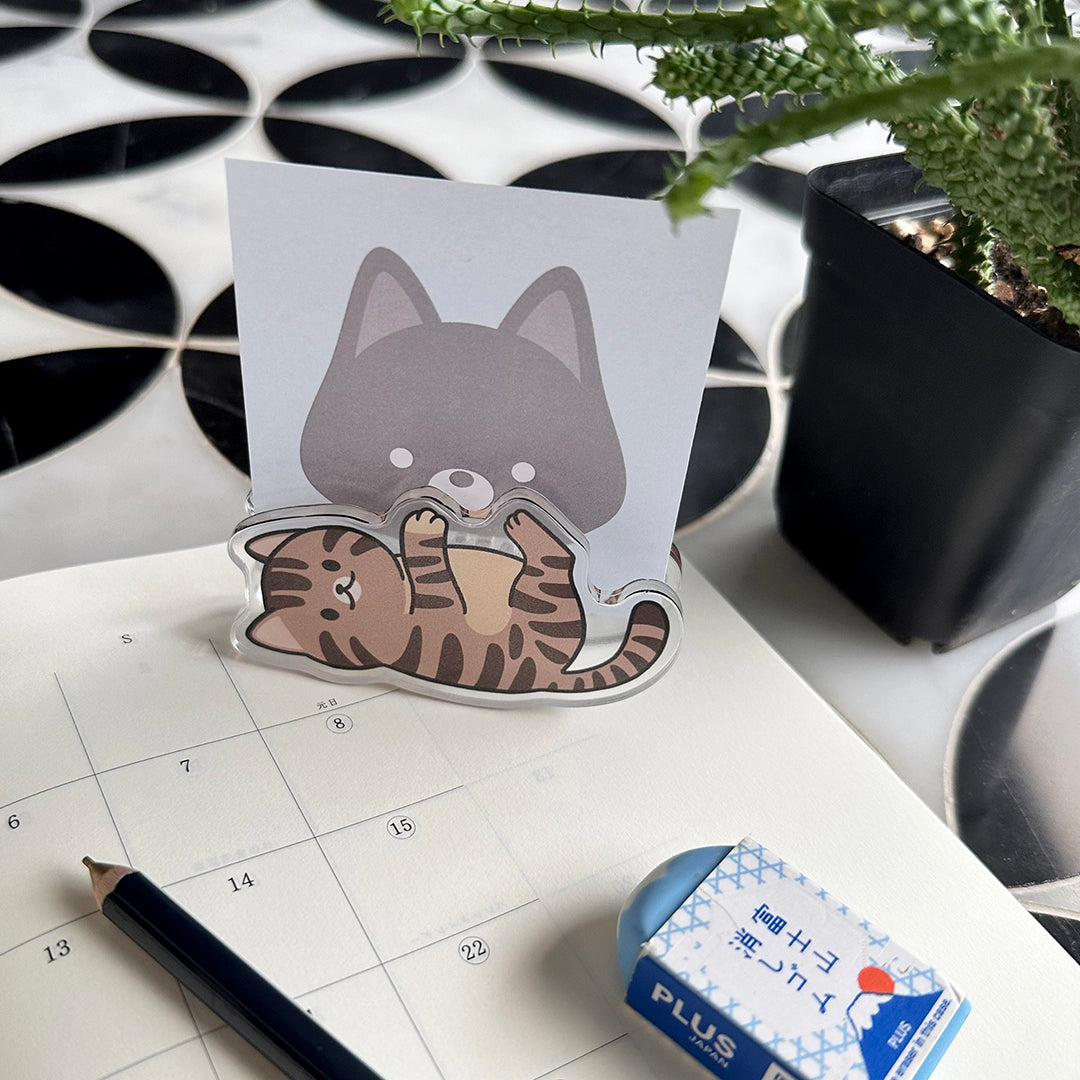 Kiap Kiap | Tabby