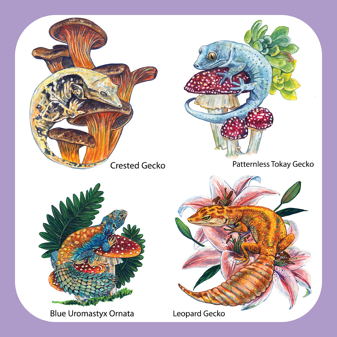 Lacertilia Waterproof Sticker pack