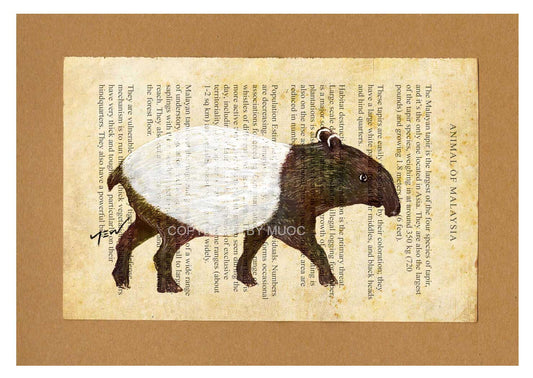 Malaysian Animal Postcard - Malayan Tapir