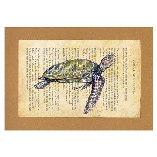 Malaysian Animal Postcard - Green Turtle