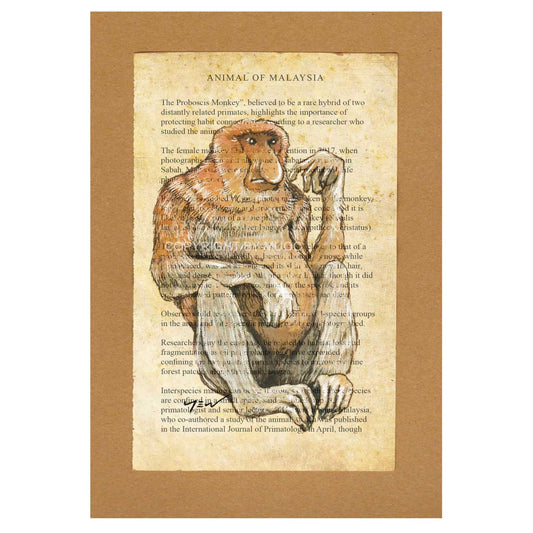 Malaysian Animal Postcard - Proboscis Monkey