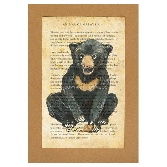 Malaysian Animal Postcard - Sun Bear