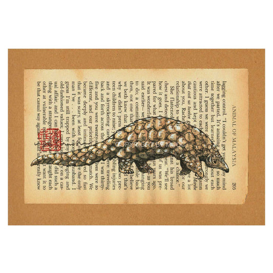 Malaysian Animal Postcard - Pangolin