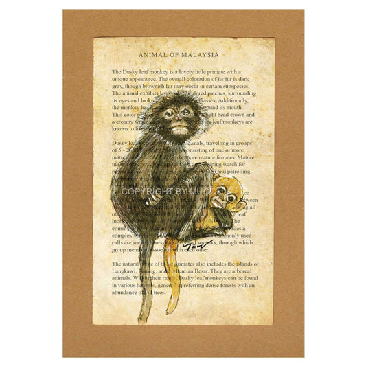 Malaysian Animal Postcard - Dusky Leaf Monkey