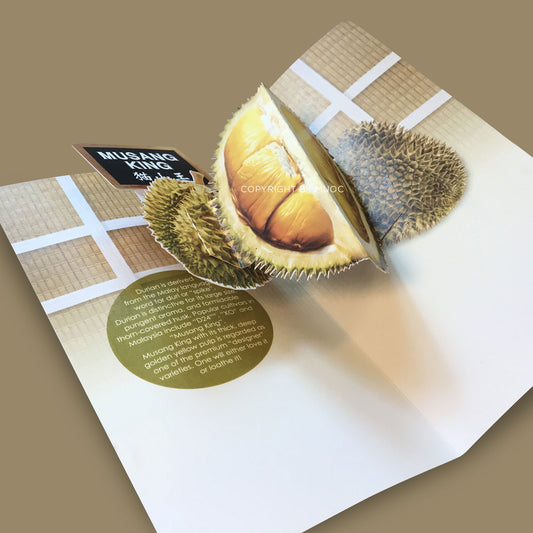 3D Pop-Up Card (Long) - Durian