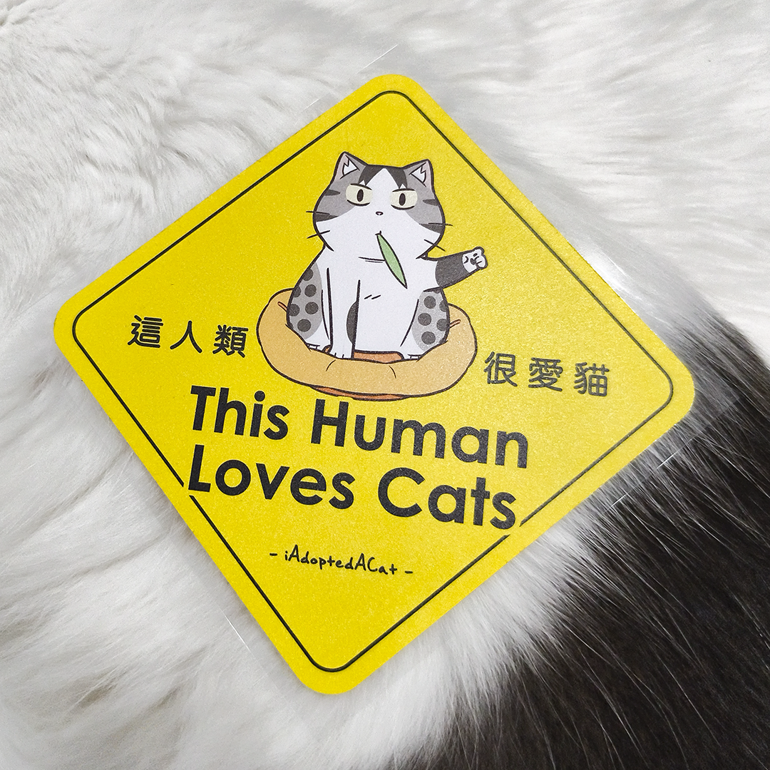 果醬日常 iAdoptedACat : Outdoor Car Sticker - This human loves cats
