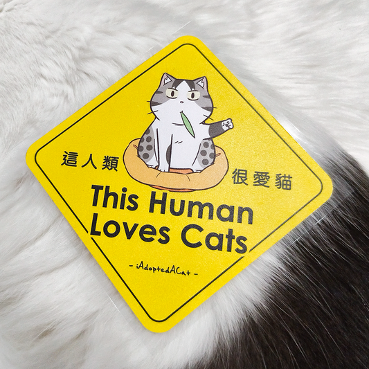 果醬日常 iAdoptedACat : Outdoor Car Sticker - This human loves cats