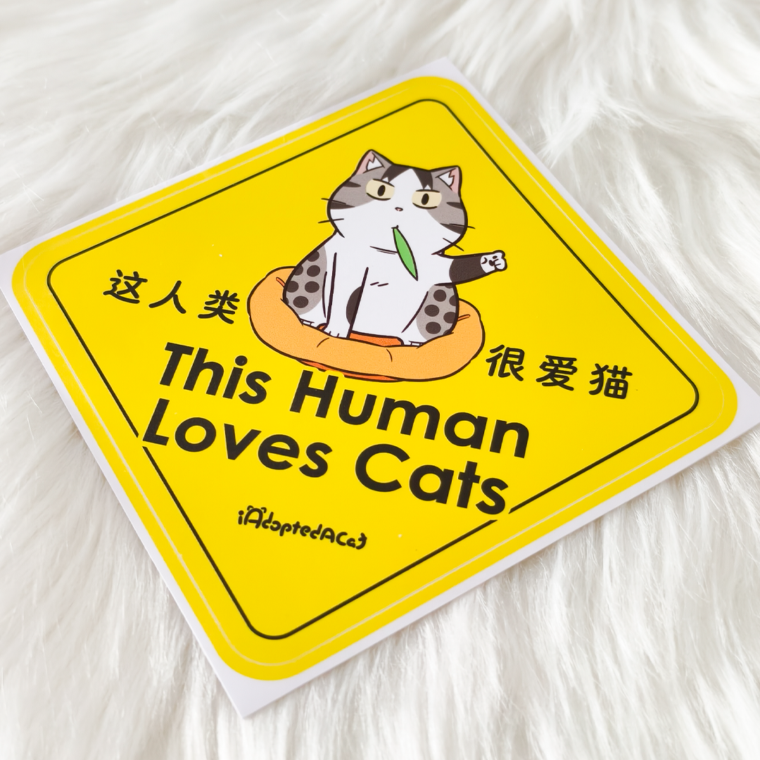 果醬日常 iAdoptedACat : Outdoor Car Sticker - This Human Loves Cats