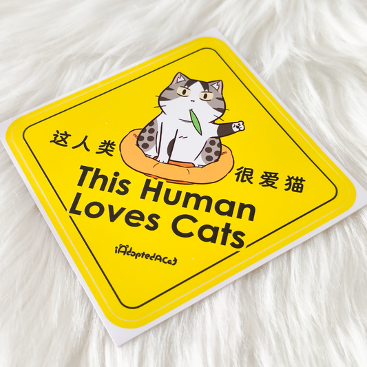 果醬日常 iAdoptedACat : Outdoor Car Sticker - This Human Loves Cats