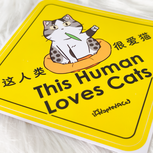 果醬日常 iAdoptedACat : Outdoor Car Sticker - This Human Loves Cats