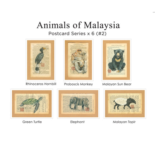 Animals of Malaysia Postcard Series Set #2