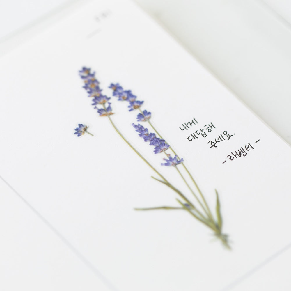 Appree Pressed Flower Sticker | Lavender
