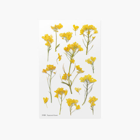 Appree Pressed Flower Sticker | Rapeseed Flower