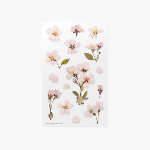 Appree Pressed Flower Sticker | Cherry Blossom