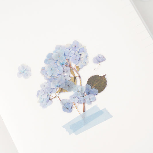 Appree Pressed Flower Sticker | Bigleaf Hydrangea