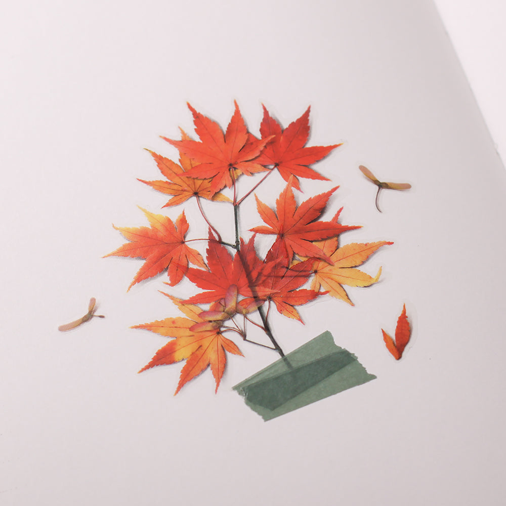 Appree Pressed Flower Sticker | Palmate Maple