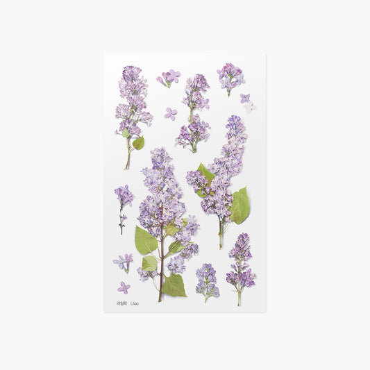 Appree Pressed Flower Sticker | Lilac