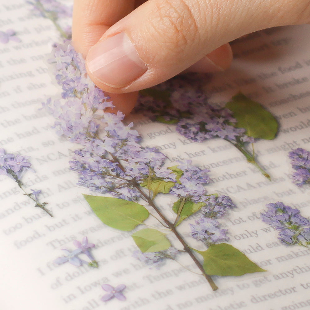 Appree Pressed Flower Sticker | Lilac