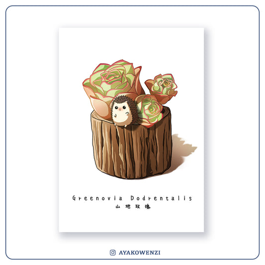 Postcard | Greenovia Dodrentalis