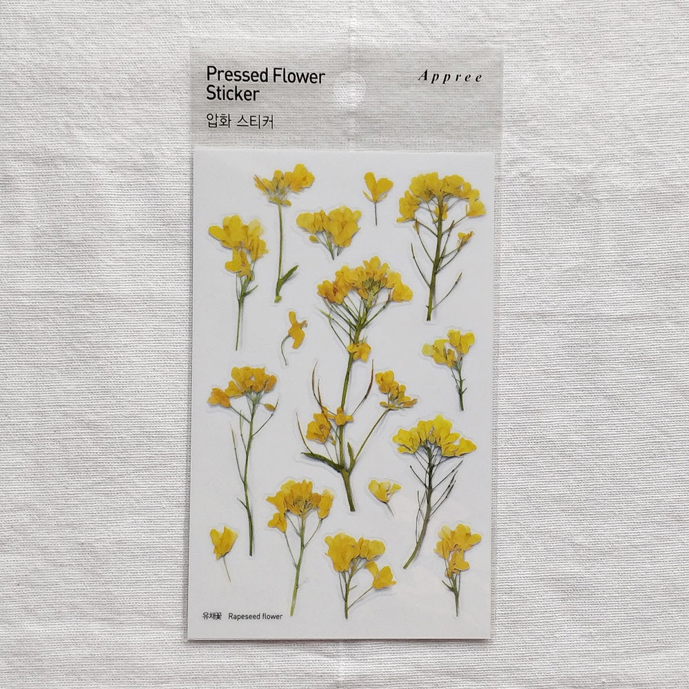 Appree Pressed Flower Sticker | Rapeseed Flower