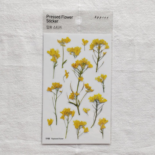 Appree Pressed Flower Sticker | Rapeseed Flower