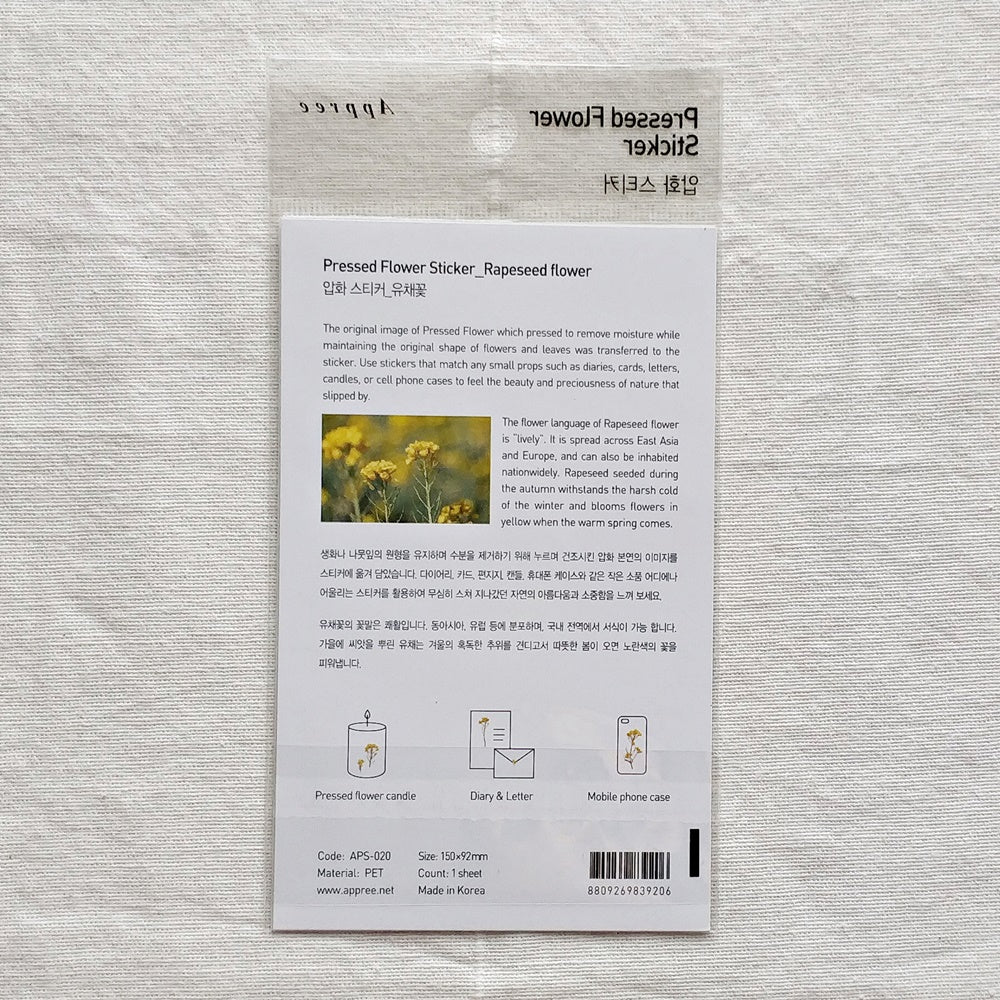 Appree Pressed Flower Sticker | Rapeseed Flower