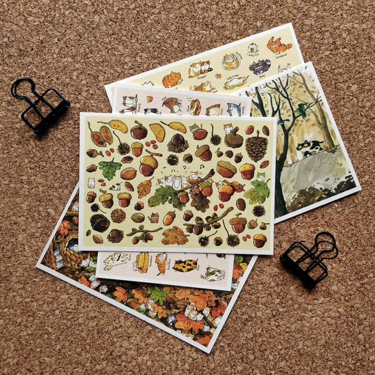 afu A6 Postcard | Cats, Acorns & Seeds