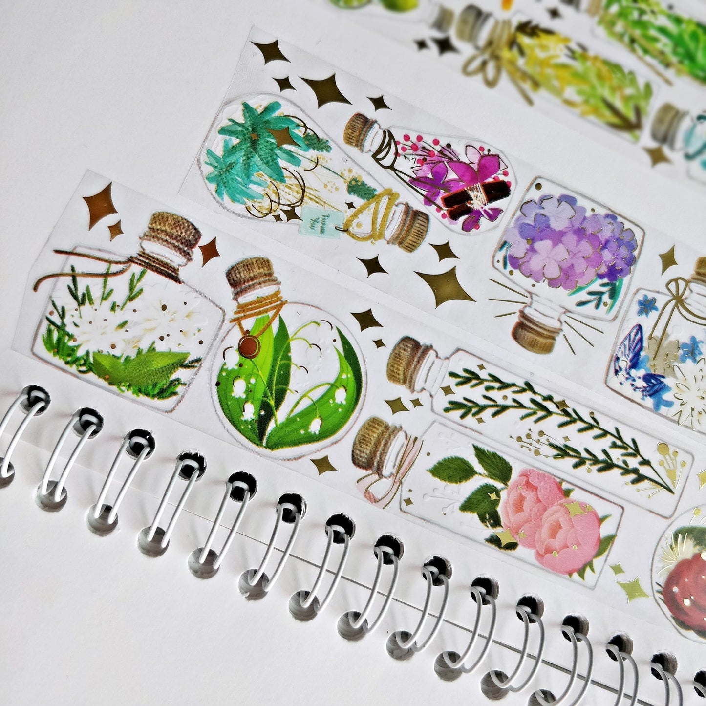 HERBARIUM (Flower in Bottle) PET Tape | Type A