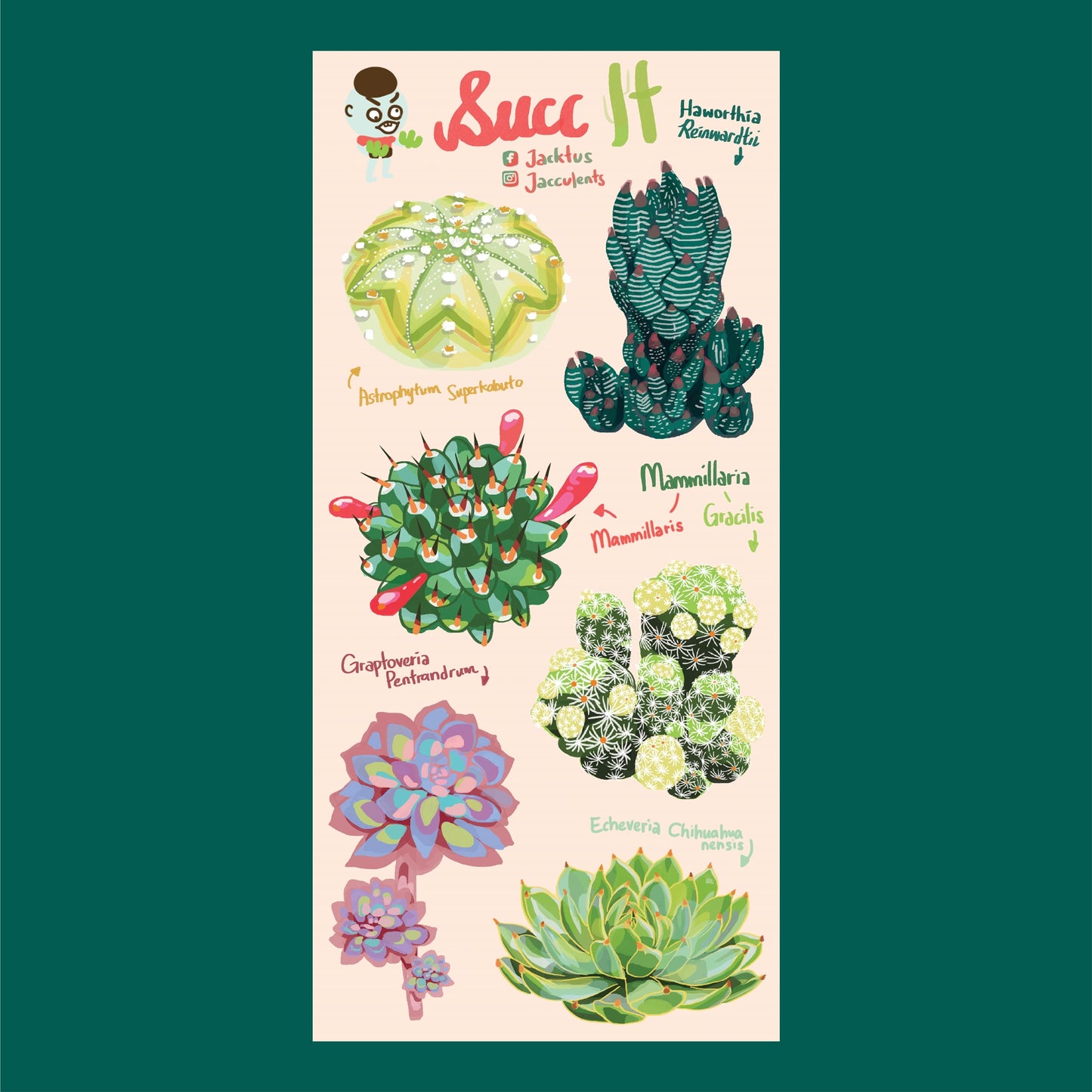 Assorted Succulents Waterproof Sticker